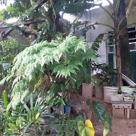 Hostel El Caleuche ريو داس أوستراس المظهر الخارجي الصورة