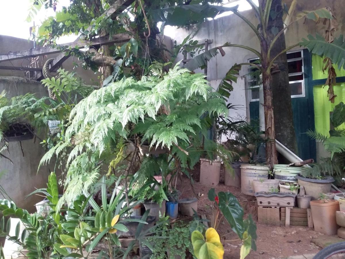 Hostel El Caleuche ريو داس أوستراس المظهر الخارجي الصورة